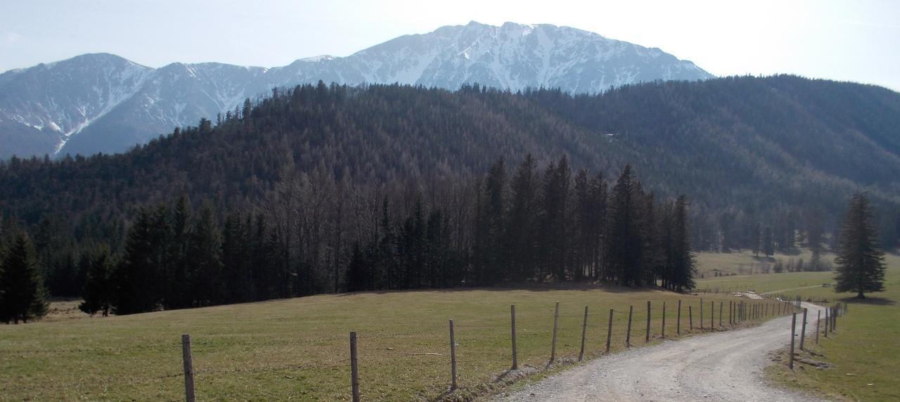 Ferienwohnungen Mamauwiese Gutenstein Exteriér fotografie