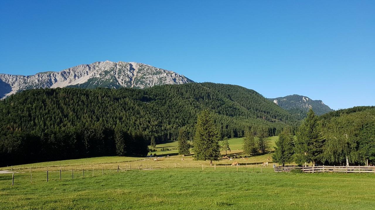 Ferienwohnungen Mamauwiese Gutenstein Exteriér fotografie