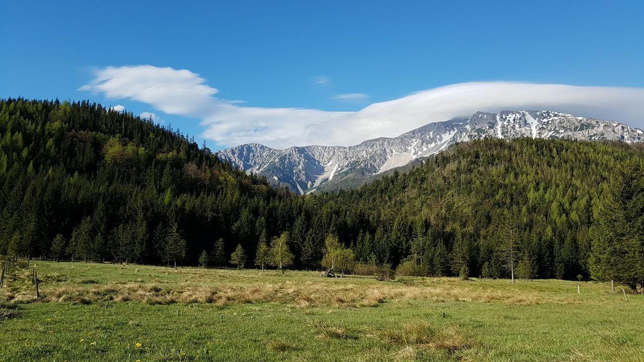 Ferienwohnungen Mamauwiese Gutenstein Exteriér fotografie