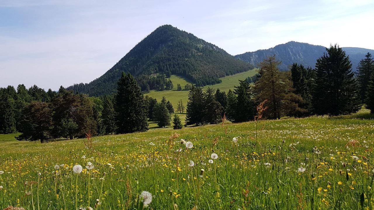 Ferienwohnungen Mamauwiese Gutenstein Exteriér fotografie