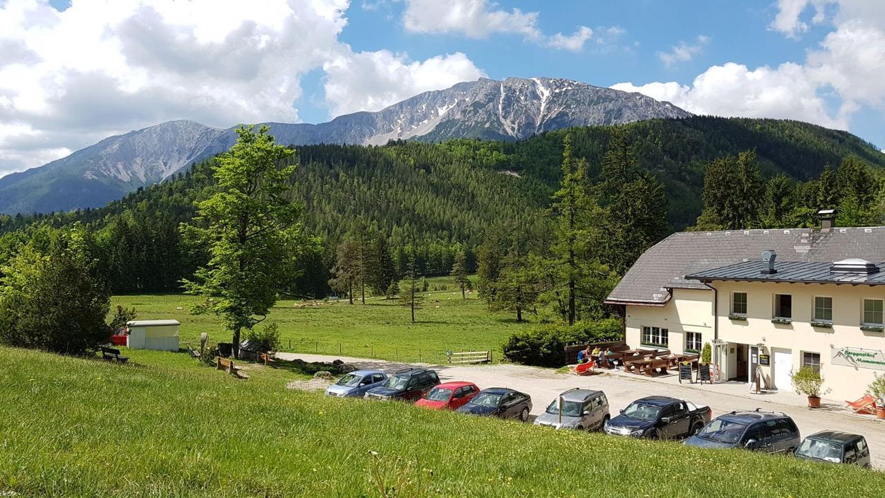 Ferienwohnungen Mamauwiese Gutenstein Exteriér fotografie