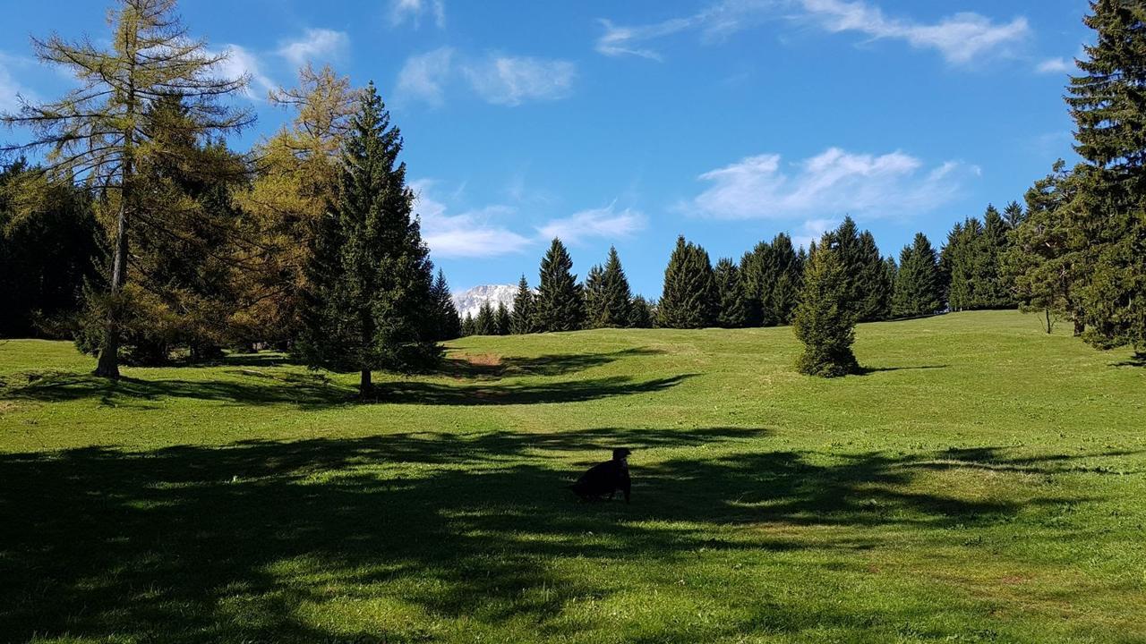 Ferienwohnungen Mamauwiese Gutenstein Exteriér fotografie