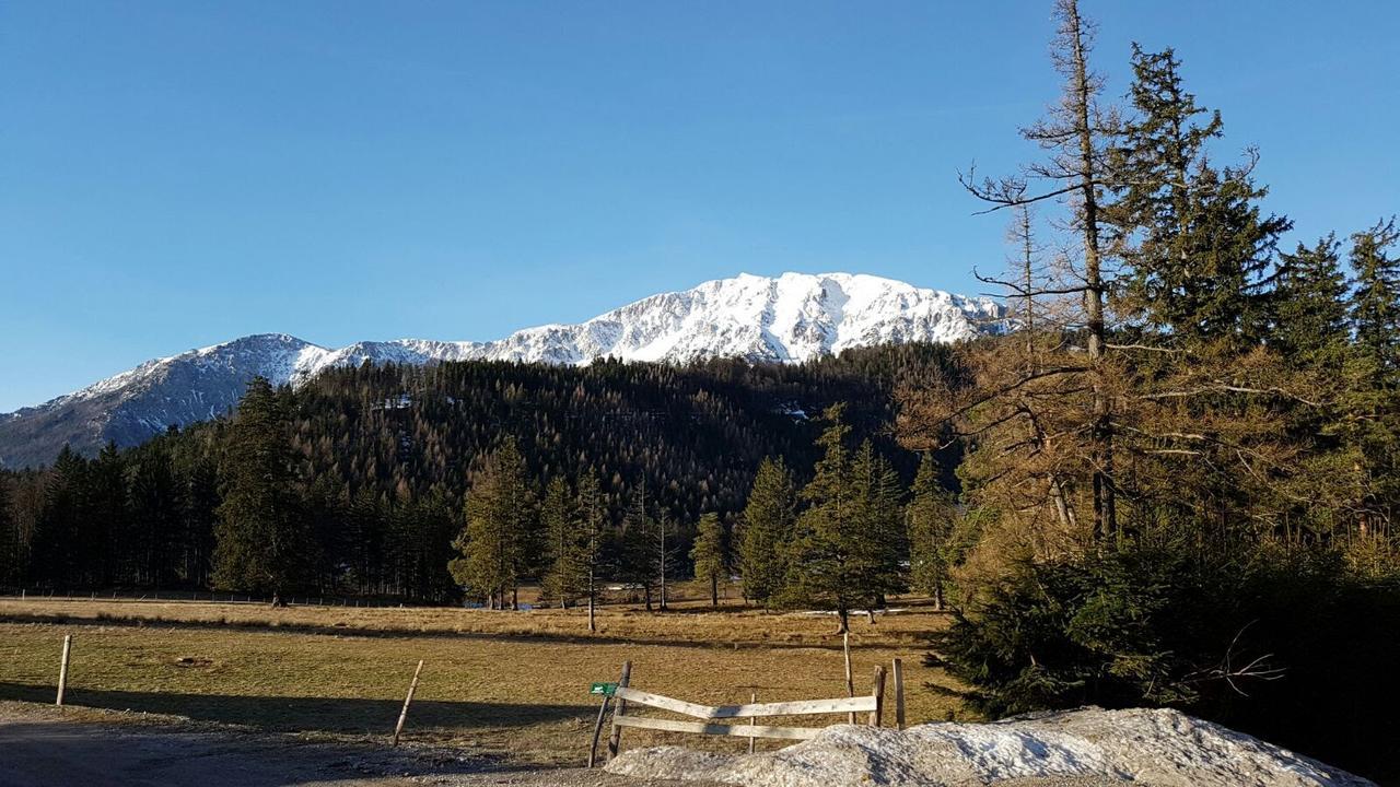 Ferienwohnungen Mamauwiese Gutenstein Exteriér fotografie