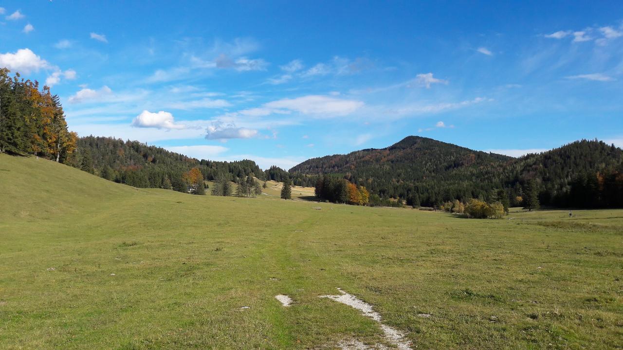 Ferienwohnungen Mamauwiese Gutenstein Exteriér fotografie