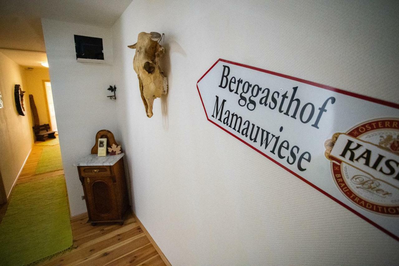Ferienwohnungen Mamauwiese Gutenstein Exteriér fotografie